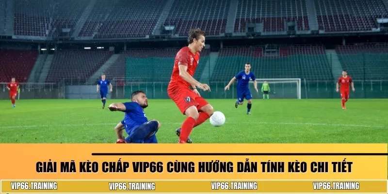 Kèo chấp Vip66