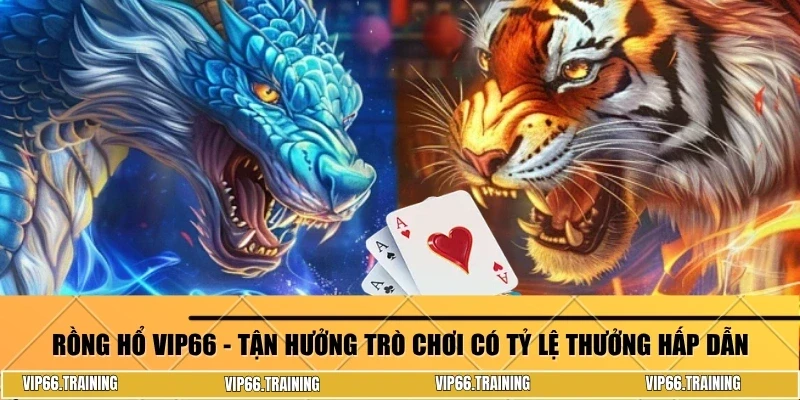Rồng Hổ Vip66